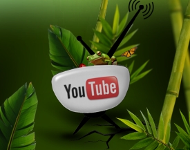 Guaba On Youtube Guaba On Youtube